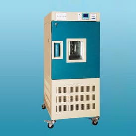 YWS-250S 药品稳定性试验箱（JH）