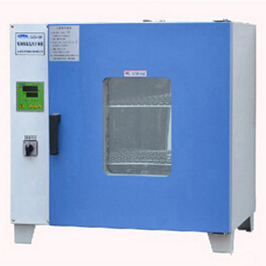 GZX-DH-300-BS-II 电热恒温干燥箱