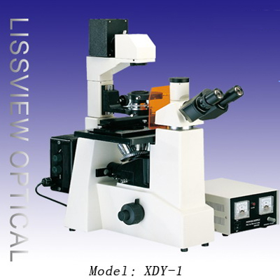 XDY-1 倒置荧光显微镜