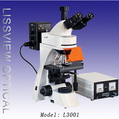 L3001 落射荧光显微镜