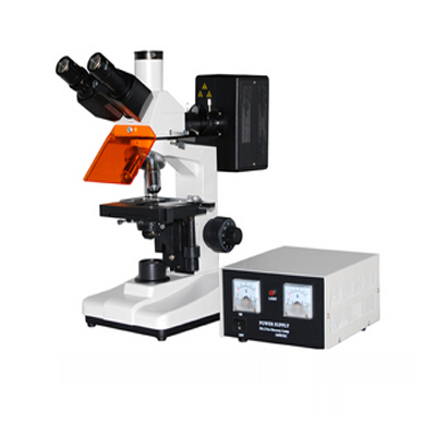 L1501 落射荧光显微镜